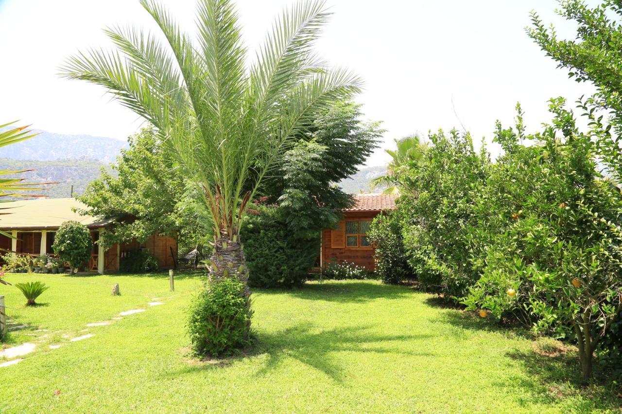 Tunays Pansiyon Bed & Breakfast Çıralı Exterior foto