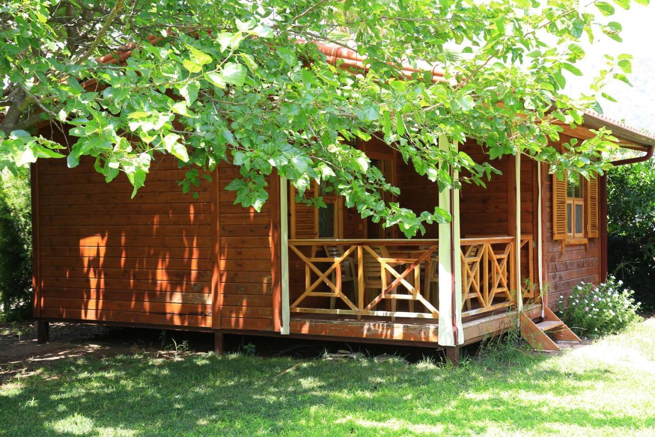 Tunays Pansiyon Bed & Breakfast Çıralı Cameră foto