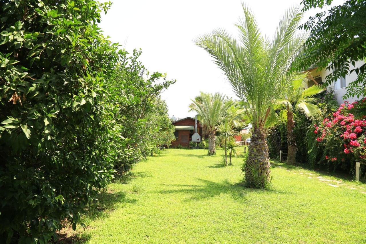 Tunays Pansiyon Bed & Breakfast Çıralı Cameră foto