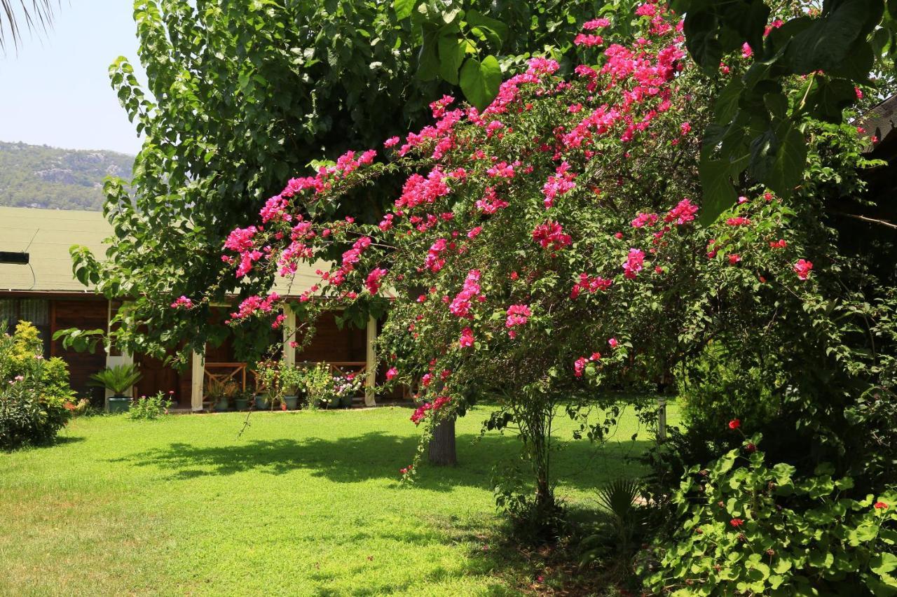 Tunays Pansiyon Bed & Breakfast Çıralı Exterior foto